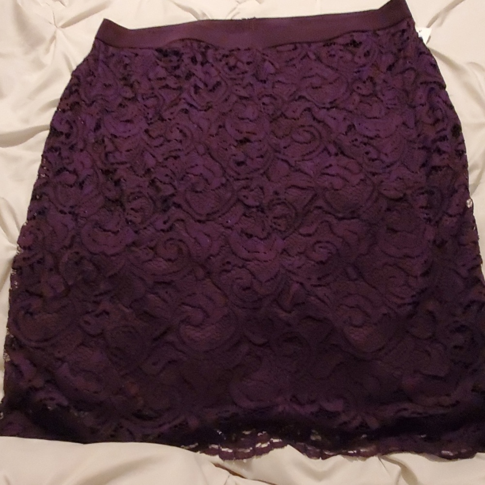 Purple Skirt 1X